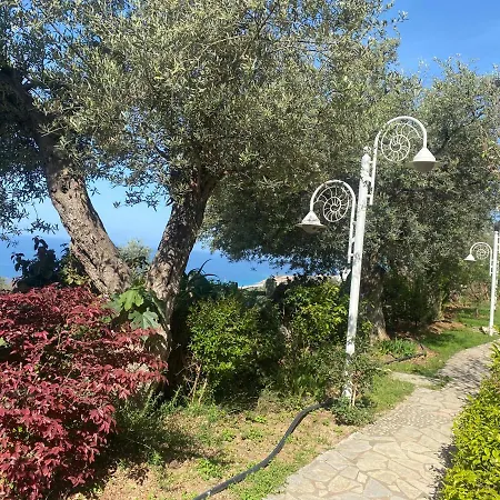 Newly Renovated Olive