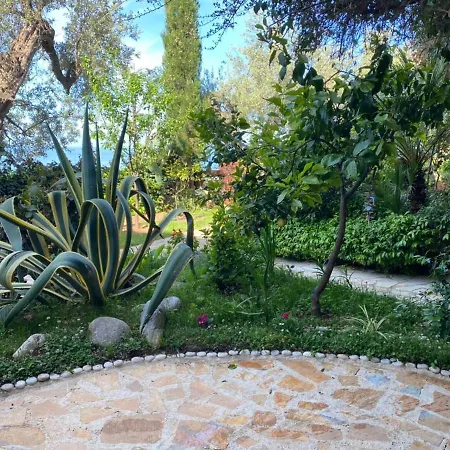 Appartamento Newly Renovated Olive *
