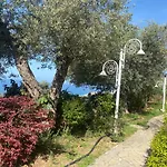 Newly Renovated Olive