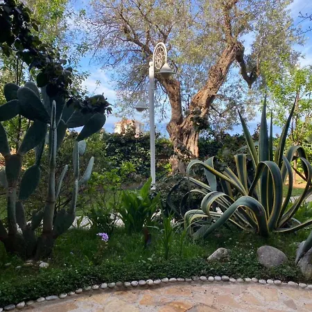 Apartamento Newly Renovated Olive Dhërmi