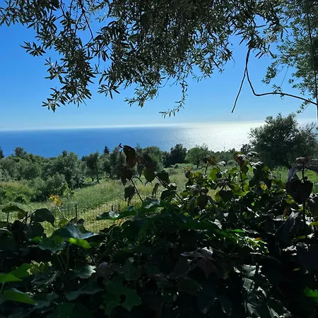 Apartamento Newly Renovated Olive *