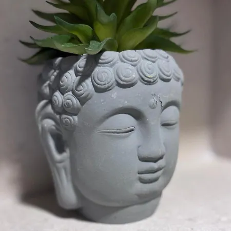 Newly Renovated Olive *