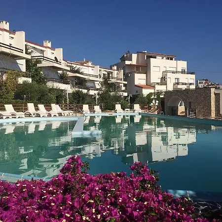 Newly Renovated Olive