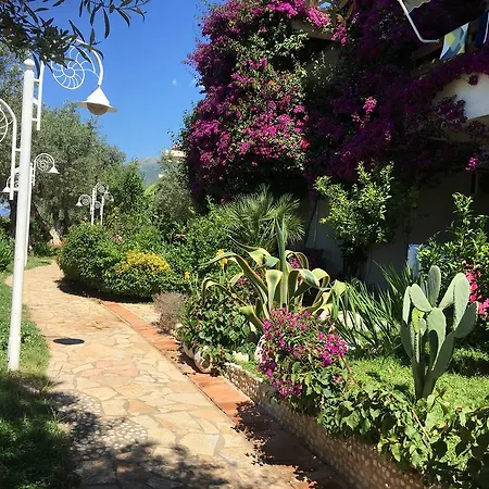 Newly Renovated Olive *