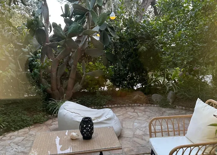 Διαμέρισμα Newly Renovated Olive Dhërmi